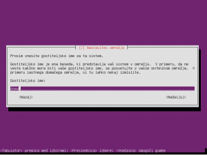 Vnos imena sistema