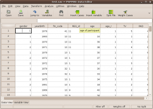 Data view window.